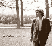 David Sylvian Brilliant Trees